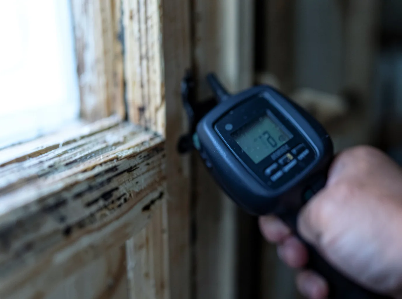 Moisture Inspection And Documentation in Princeton, LA